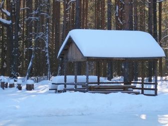 Беседка для пикника