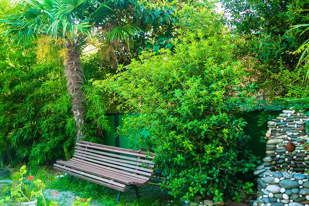 Сад | Закавказье, Гагрский район