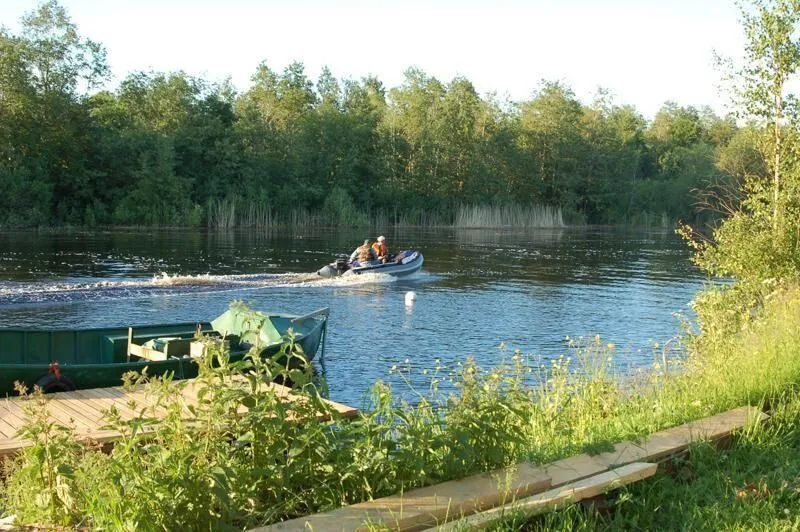Новое Лигово, Ленинградская область: фото 3