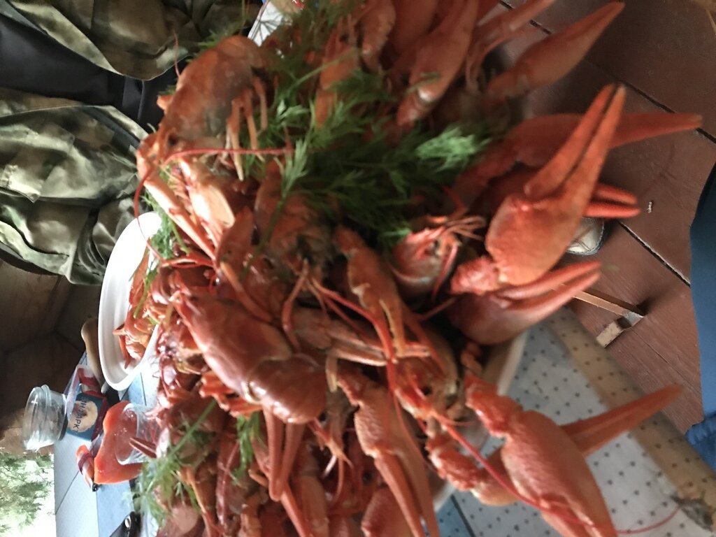 Фото из отзыва от 10.10.2021