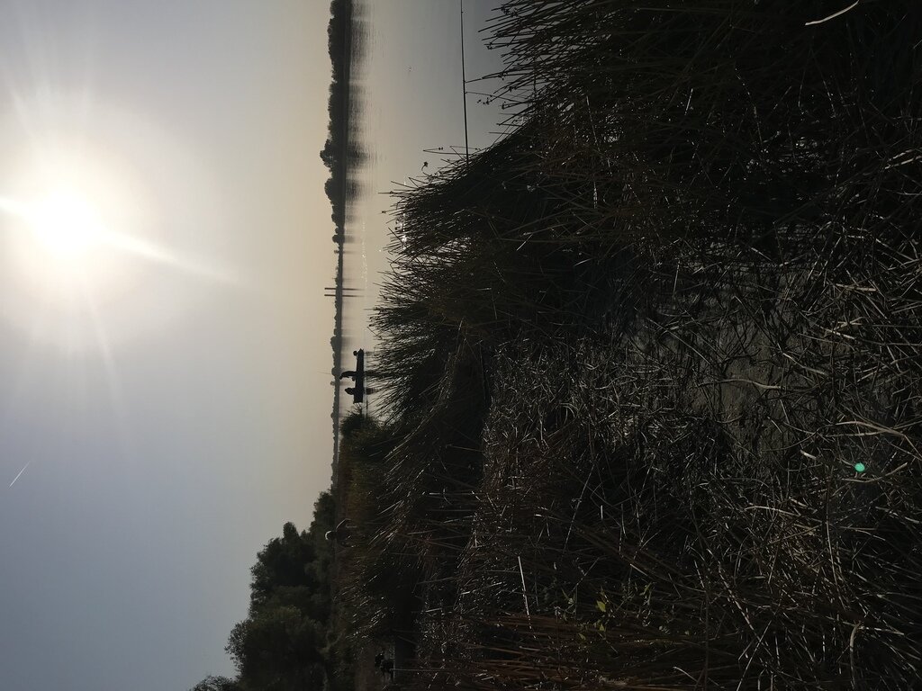 Фото из отзыва от 10.10.2021