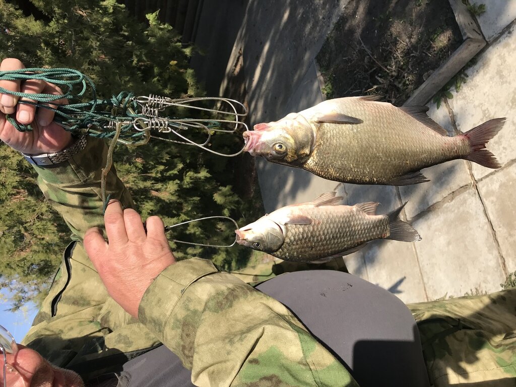 Фото из отзыва от 10.10.2021