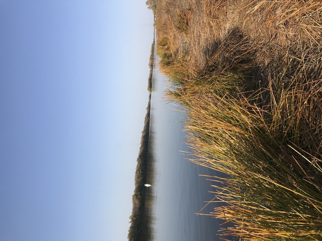 Фото из отзыва от 10.10.2021