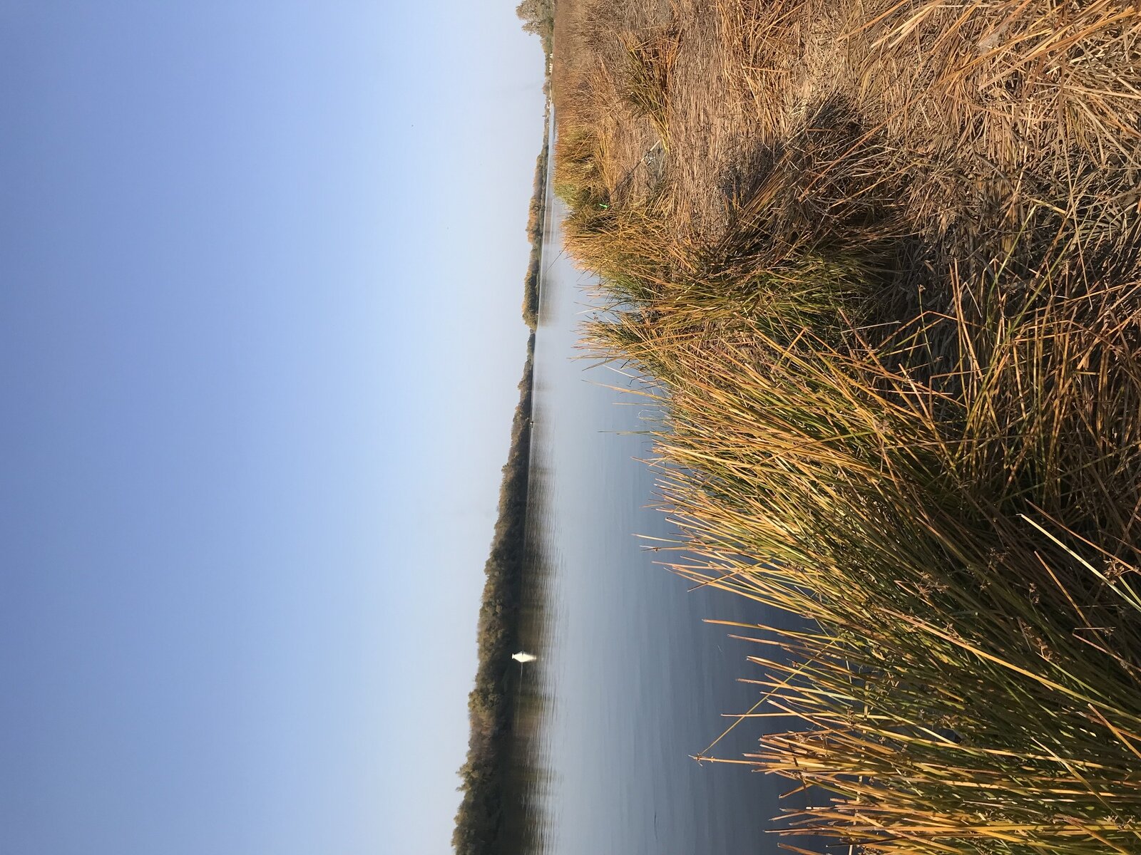 Фото 6 из отзыва о базе отдыха Астра село Чаган