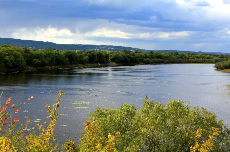 Река Зея | Спутник, Амурская область