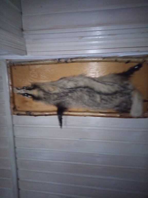 Фото из отзыва от 03.11.2021