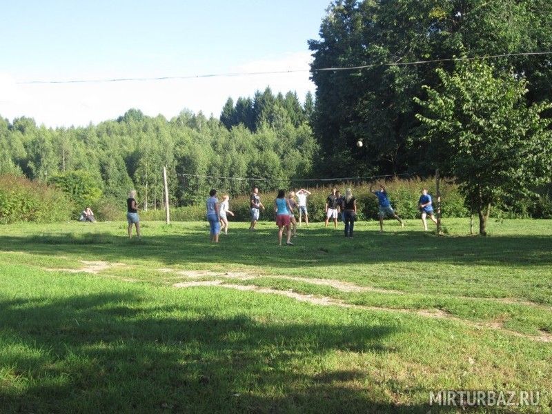 Игра в волейбол