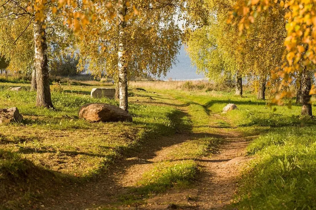 Лэйк Парк озерный парк, Новгородская область: фото 4