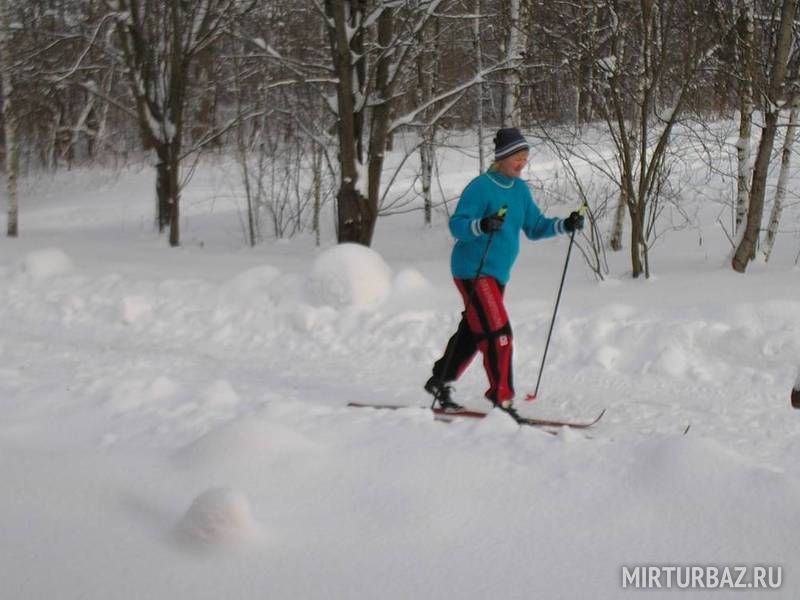 Лыжная прогулка