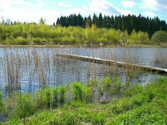 Озеро | Логи, Смоленская область