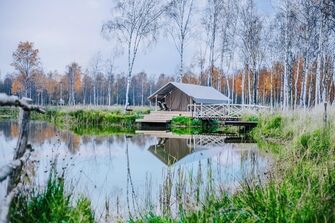 "Легенды леса", Ярославская область: фото 4