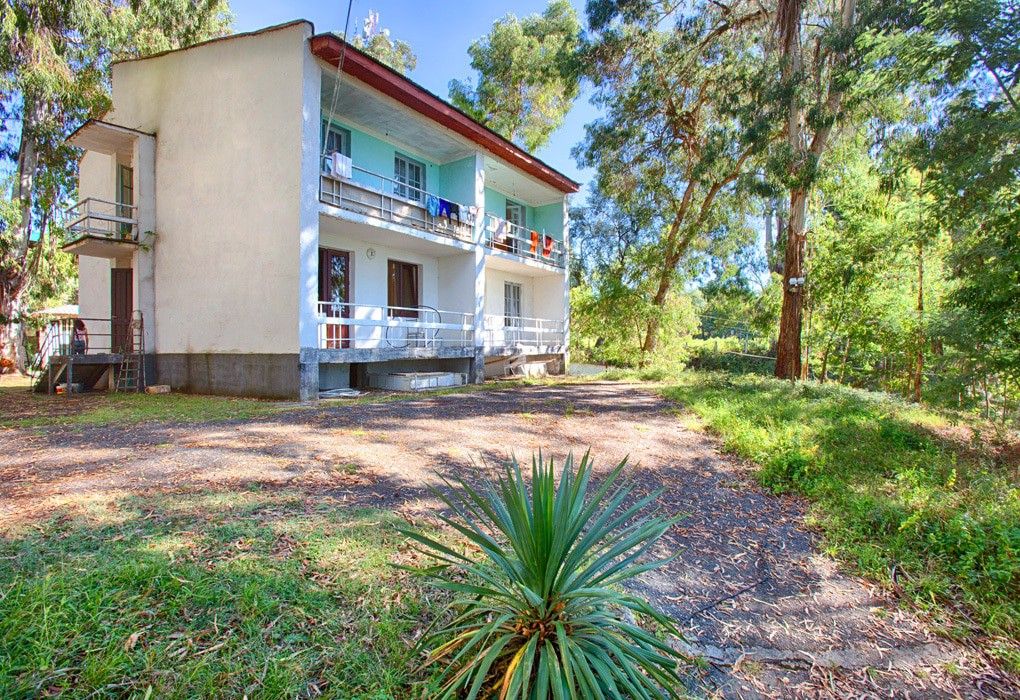 Территория | Эвкалиптовая роща, Очамчырский район