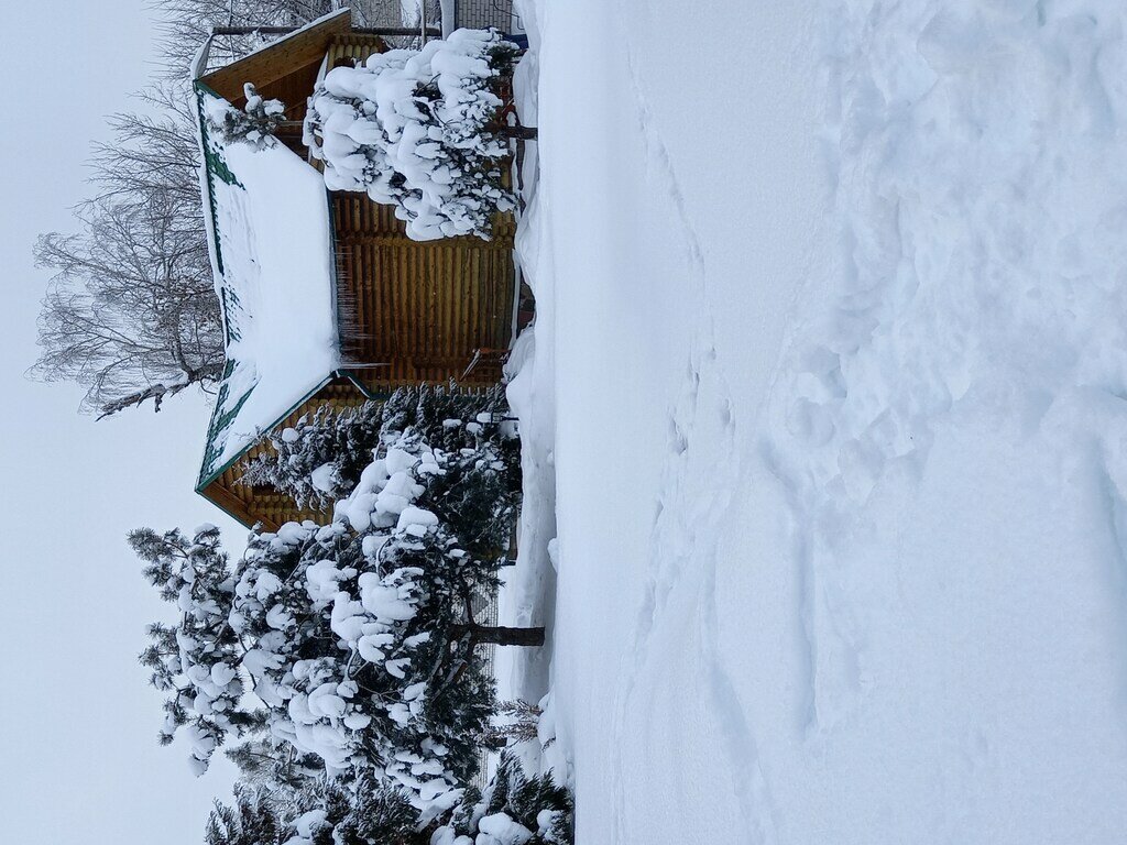 Фото из отзыва от 03.01.2022