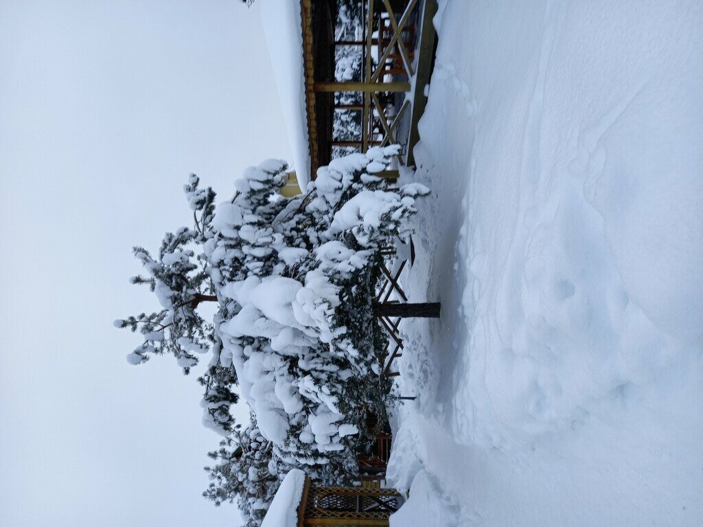 Фото из отзыва от 03.01.2022