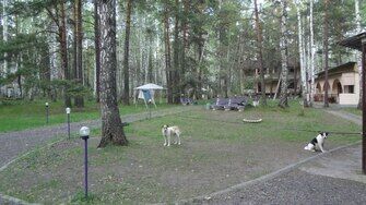 база отдыха | Райский уголок, Челябинская область