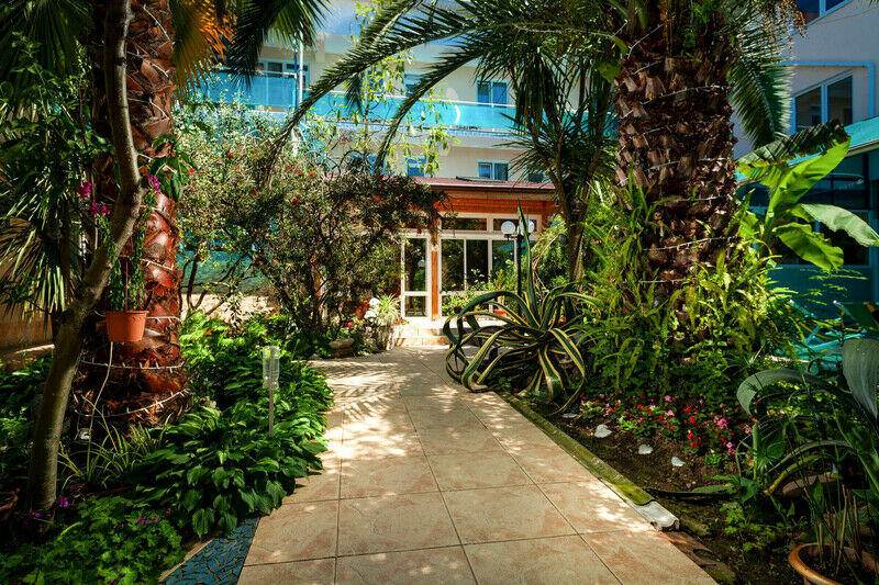 Территория | Дельфин, Краснодарский край