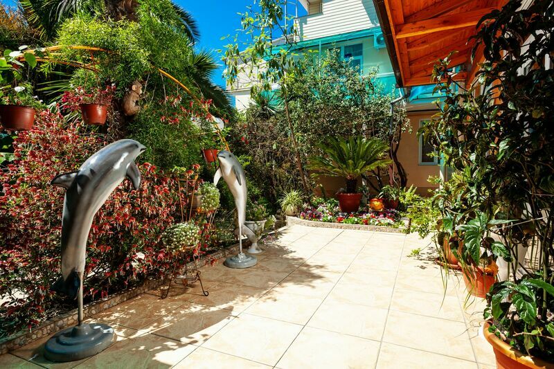 Территория | Дельфин, Краснодарский край