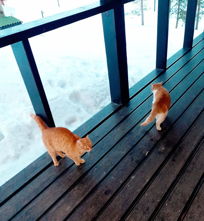 Фото из отзыва от 11.03.2022