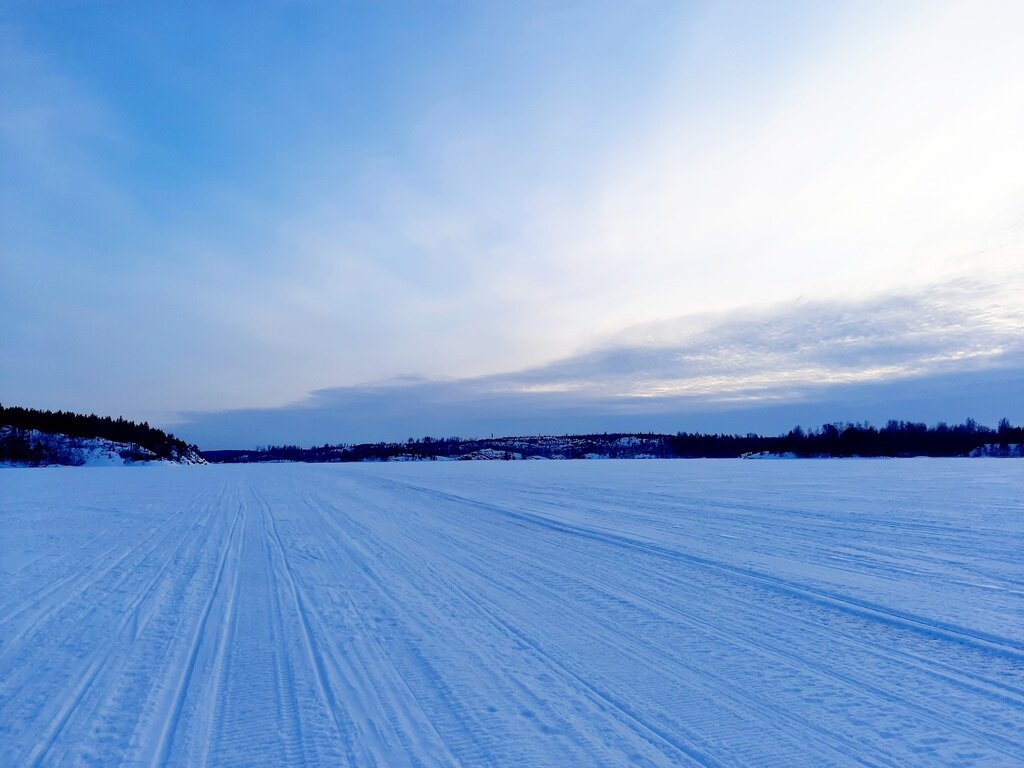 Фото из отзыва от 11.03.2022