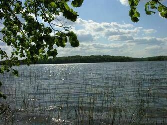 Озеро Рытое | Чайка, Смоленская область