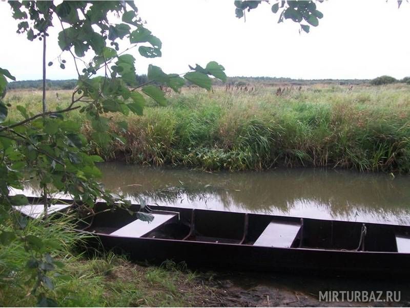 Лодка на берегу