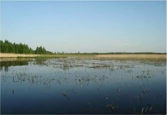 На реке
