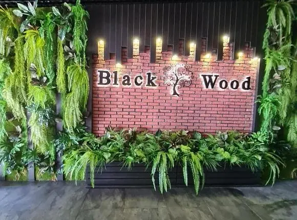Black Wood, Краснодарский край: фото 4