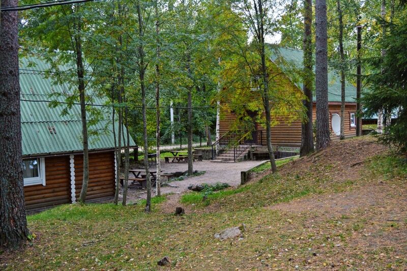 Edelweiss-cottage, Ленинградская область: фото 5
