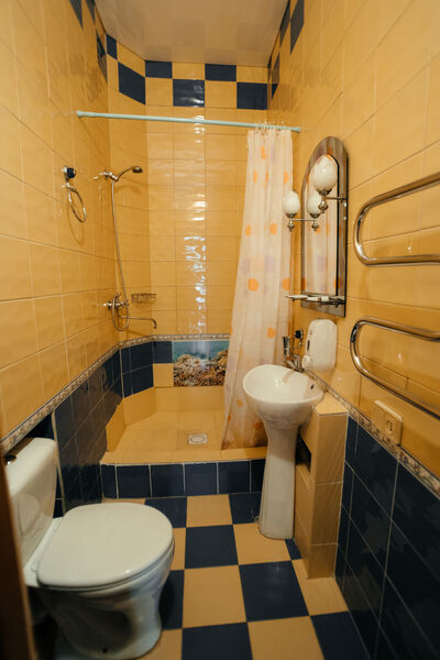 Полулюкс второй этаж (розовый) санузел