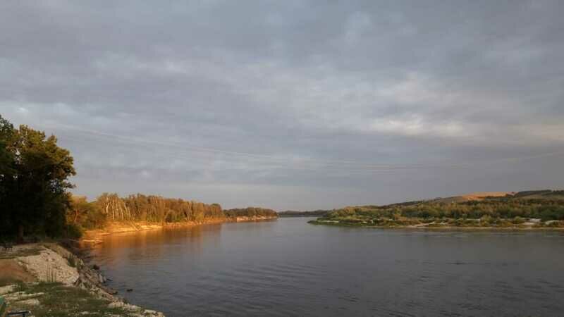 Лагерь сосна волгоградская область фроловский район фото