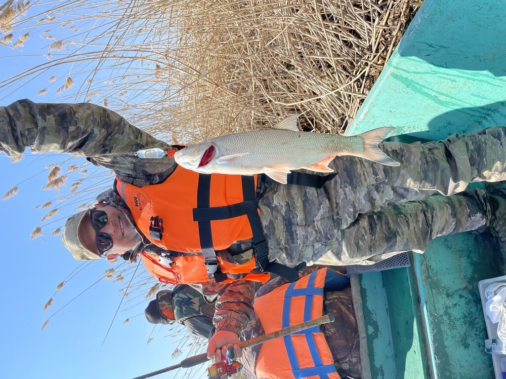 Фото из отзыва от 06.04.2022