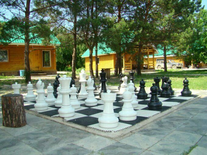 шахматы | Зелёная, Амурская область