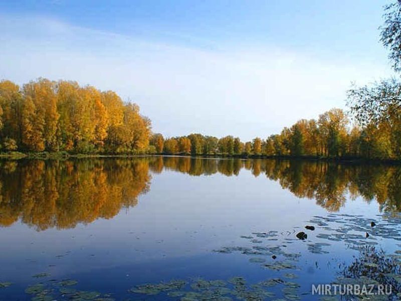 Алтайский край отдых фото