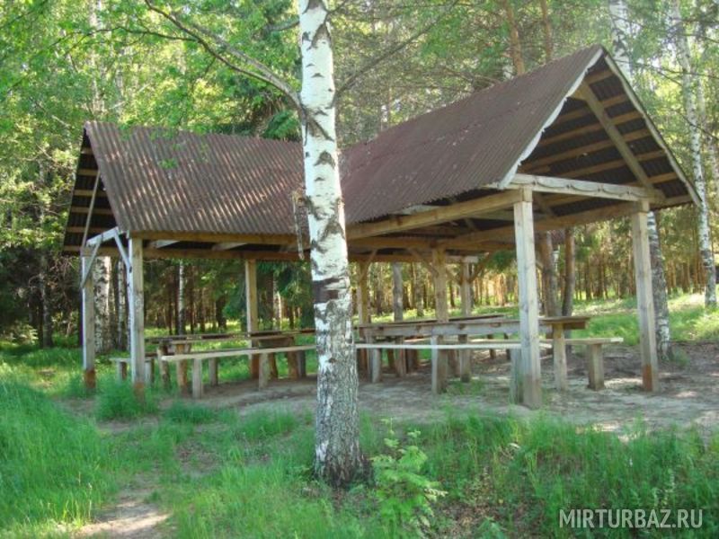 Поляна для пикника