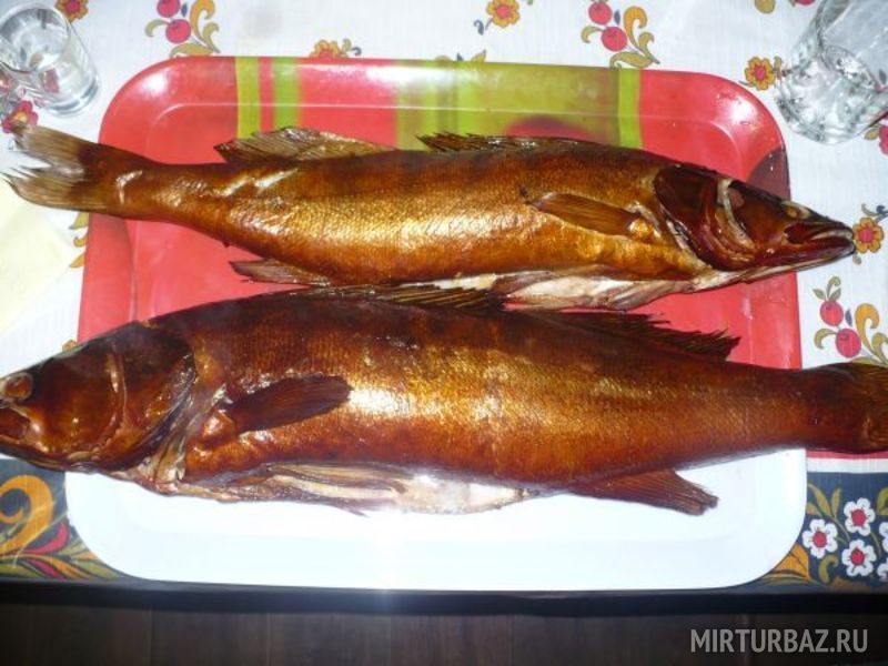 Рыба горячего копчения