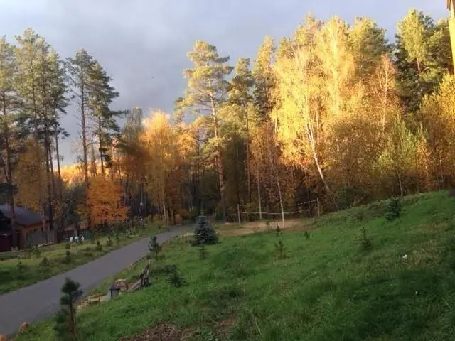 Берлога, Тульская область: фото 3