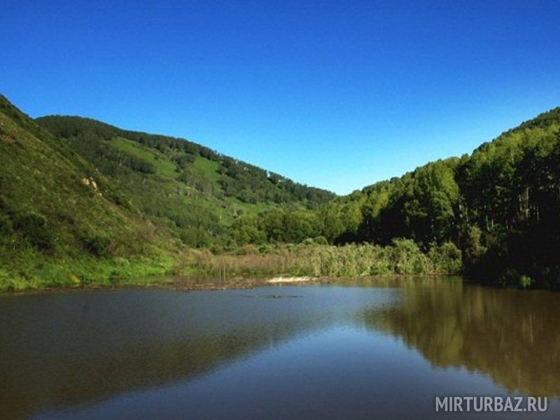 Солоновка алтайский край фото