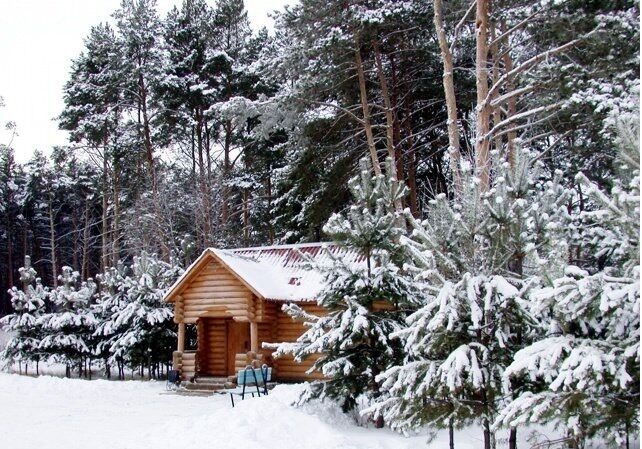 База отдыха находка шадринск фото