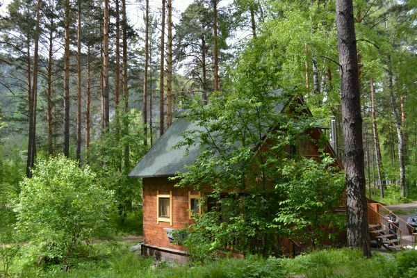 База манжерок горный алтай фото