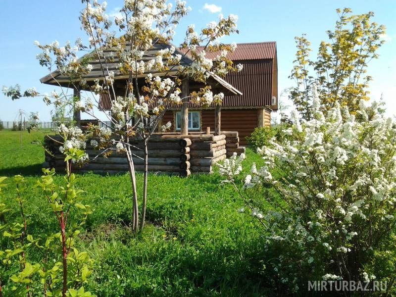 Чистая природа