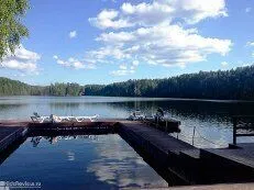 Живописная местность | Аврора клуб, Ленинградская область