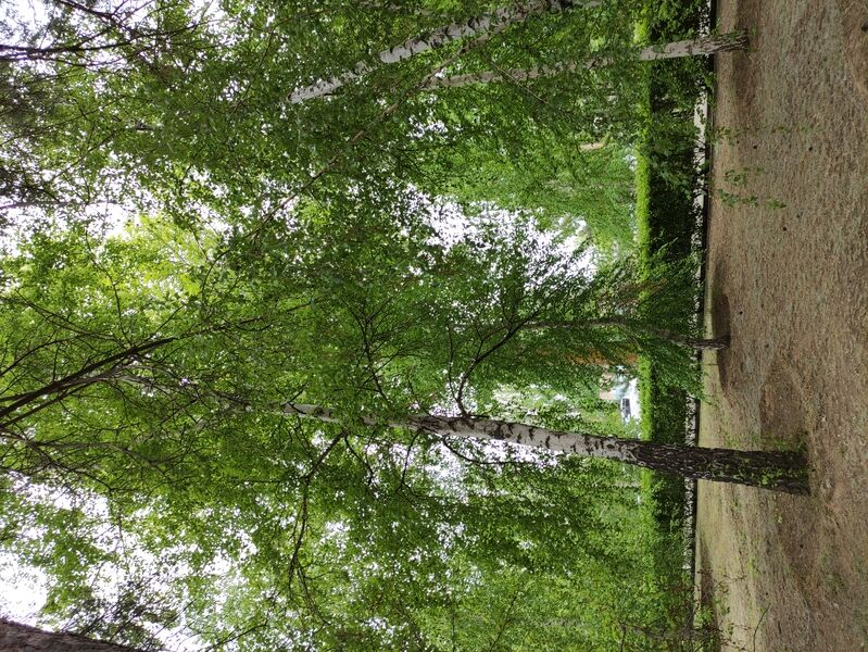 Фото 9 из отзыва о загородном клубе Загородный парк-отель Осинки