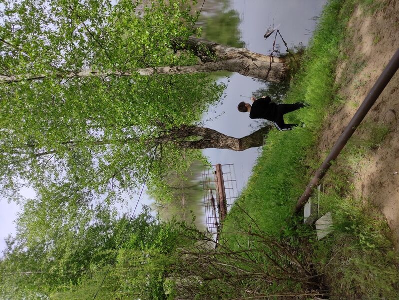 Фото 5 из отзыва о загородном клубе Загородный парк-отель Осинки