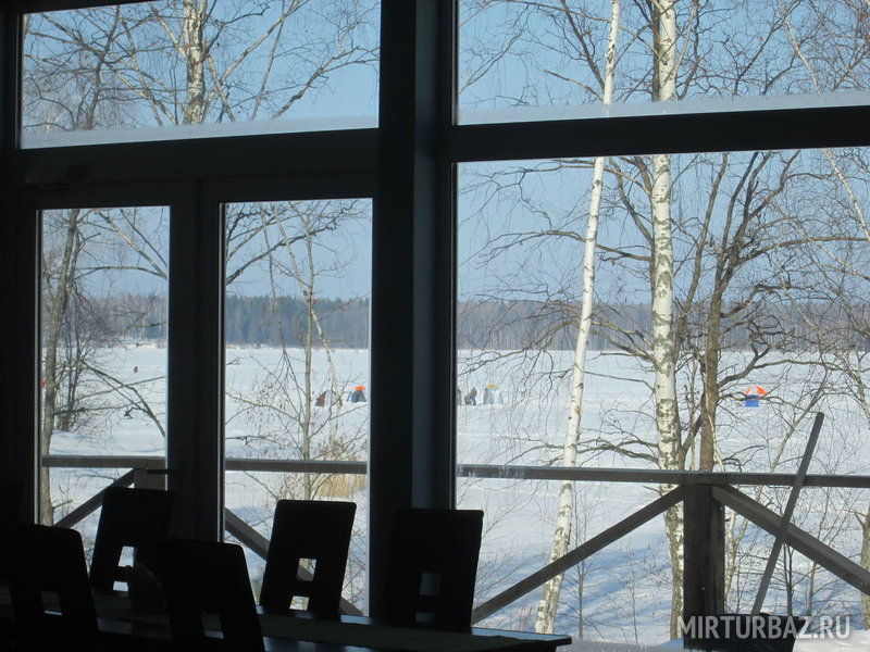 Вид из окна