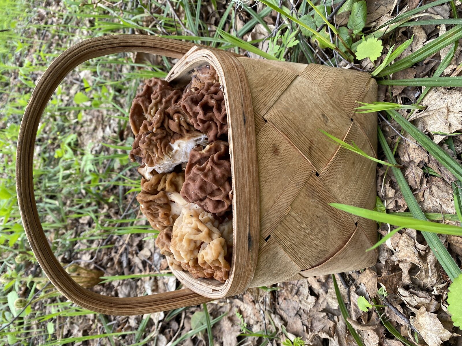 Фото 1 из отзыва о гостевом доме Заимка