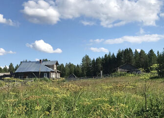 Петровка 
