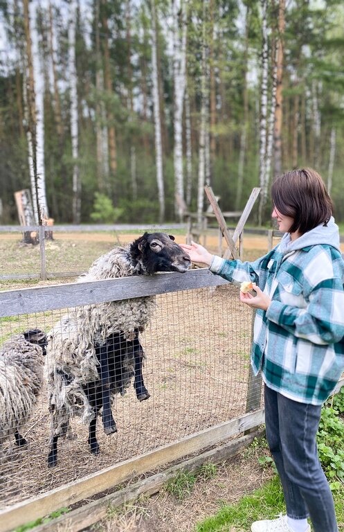 Фото из отзыва от 07.05.2022