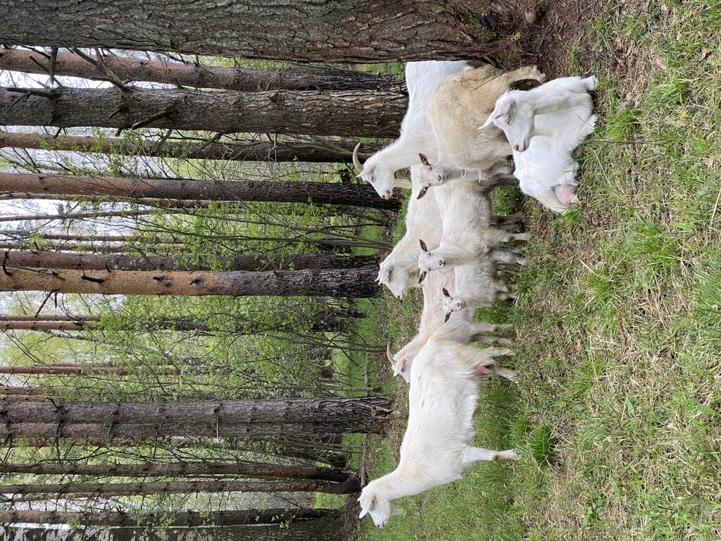 Фото из отзыва от 07.05.2022