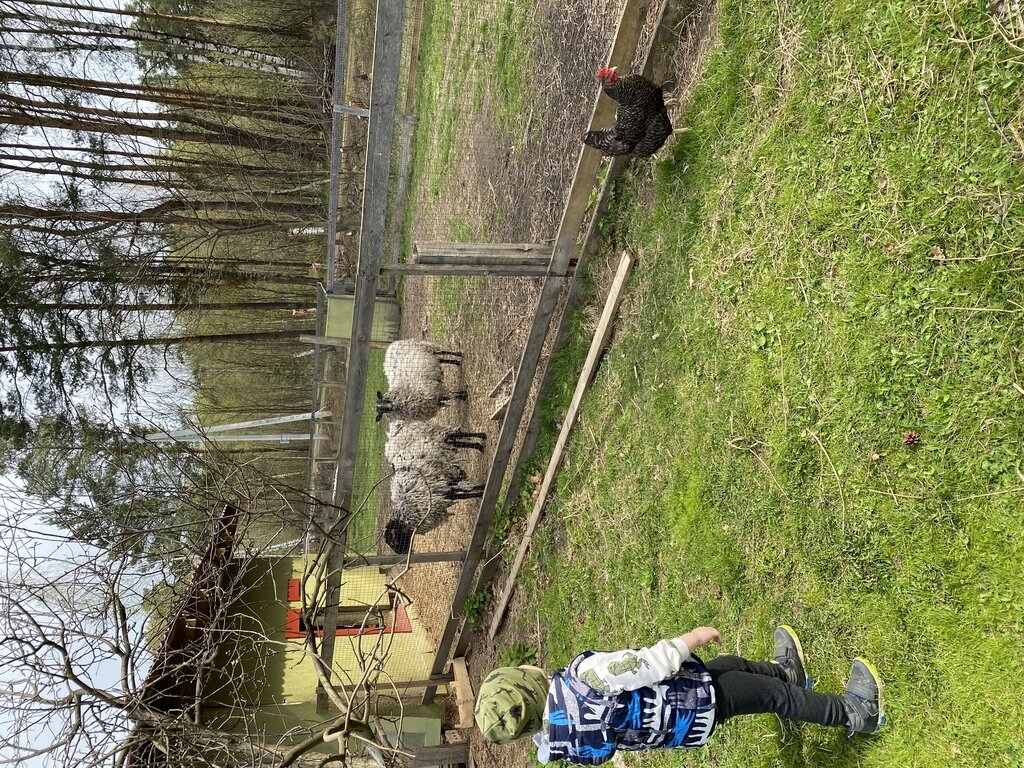 Фото из отзыва от 07.05.2022