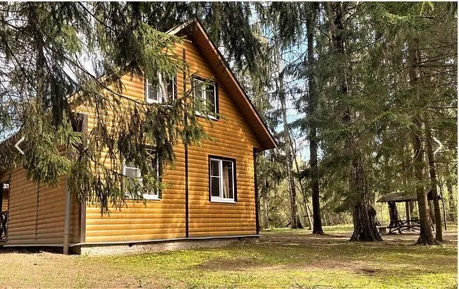 Охотник и рыболов, Ленинградская область: фото 4